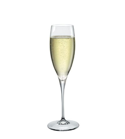 Bormioli Rocco 香檳・雞尾酒杯 Champagne 香檳杯 250cc P70060