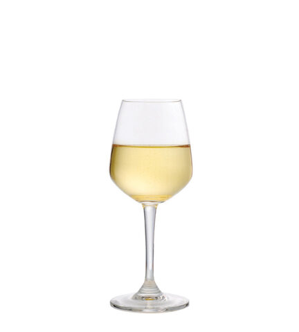 Ocean Lexington 雷辛頓 白酒杯 240cc B19W08